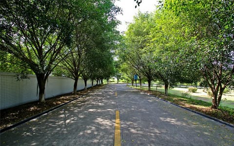 仰恩大学·校园大道