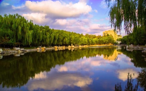 济南大学·校园风光