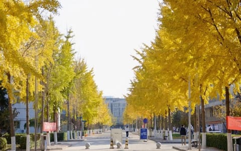 北京工业大学·通州校区