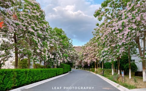 丽江文化旅游学院·校园风光
