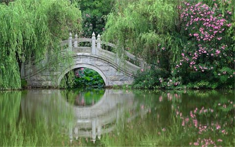 长沙师范学院·【四季故事】长师之夏