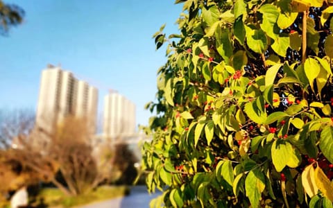 山西财经大学·日光独宠