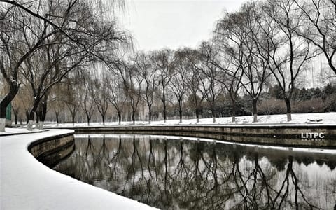 洛阳理工学院·冬日河畔