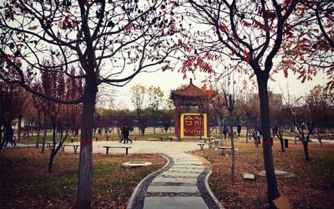 太原工业学院·林间小路