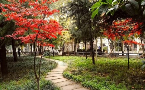 西安外国语大学·林幽晓静