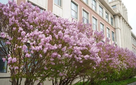 白城师范学院·校园风光