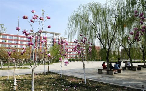 山东协和学院·校园风光1