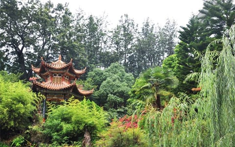 西昌学院·伴书亭