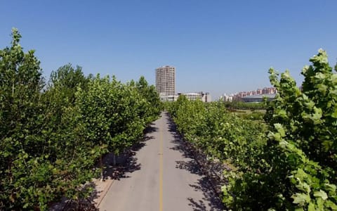 天津商业大学·校园风光