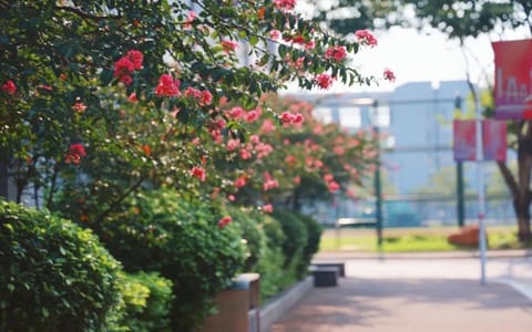 广州体育学院·校园风光