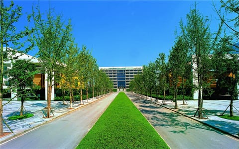 重庆科技大学·校园小道