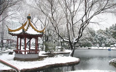 上海体育大学·校园风光