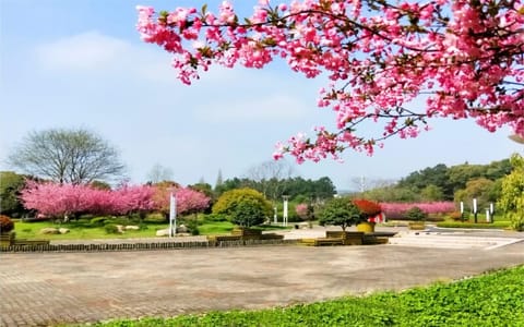 无锡太湖学院·校园春色3