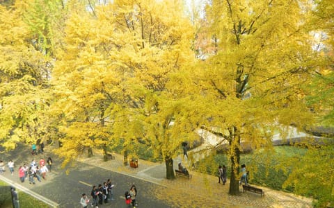 四川农业大学·都江堰校区2