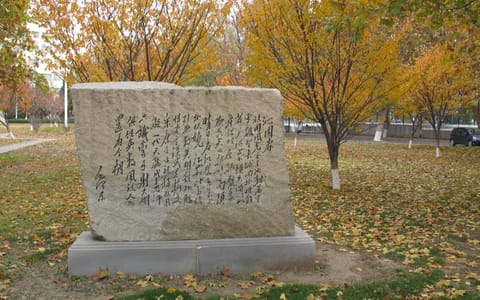 大连交通大学·文化石