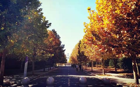 晋中学院·校园小路