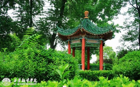 西安翻译学院·亭子