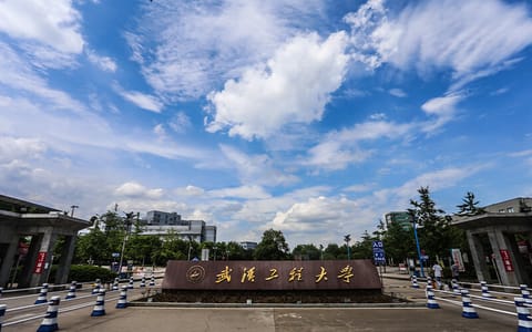 武汉工程大学·15校门