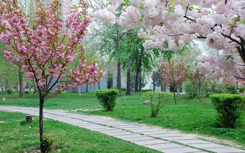 西安建筑科技大学华清学院·校园风光