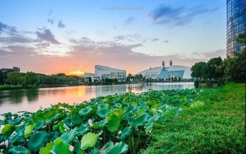 浙江大学·湖畔