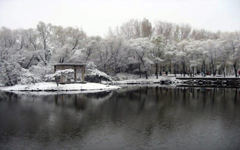 长春师范大学·长春师范大学冬景