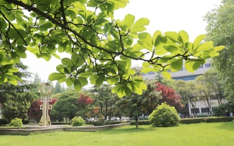 淮阴师范学院·交通路校区大草坪