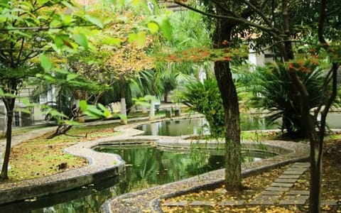 湖南财政经济学院·绿意葱茏的校园小径