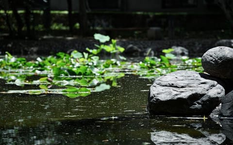 西安建筑科技大学·校园风光
