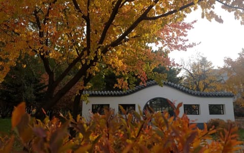 吉林大学·校园景色