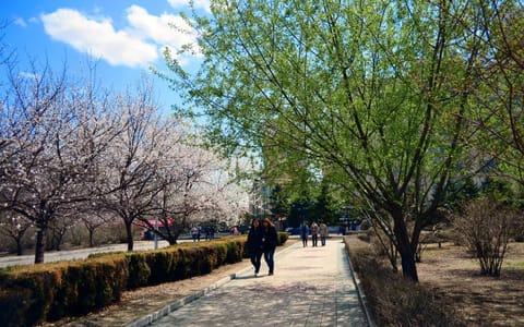 黑龙江工程学院·校园风光1
