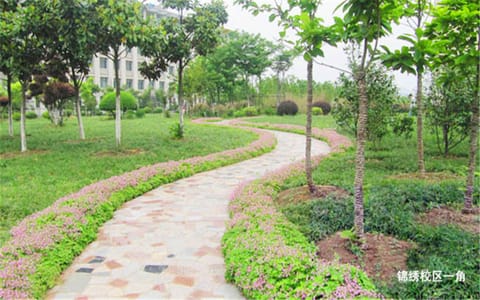 合肥师范学院·校园风光