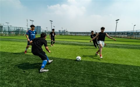 天津天狮学院·运动