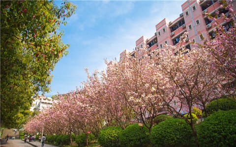 重庆邮电大学·学生宿舍