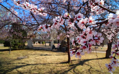 天津理工大学中环信息学院·校园风光10