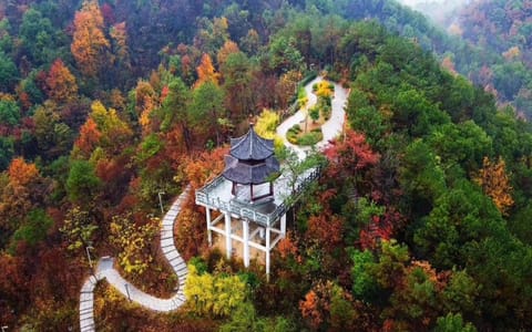 浙江工商大学杭州商学院·塘塆秋景