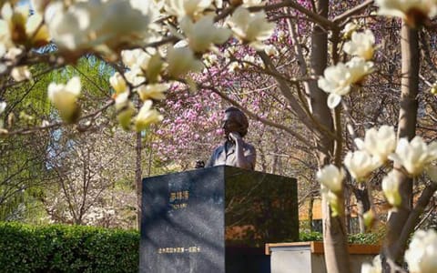 北京舞蹈学院·石雕