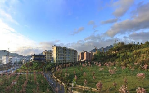 贵州工程应用技术学院·樱花园