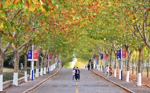 青岛黄海学院·校园风光