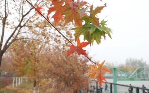 山西传媒学院·秋