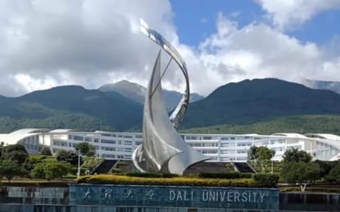 大理大学·大理大学