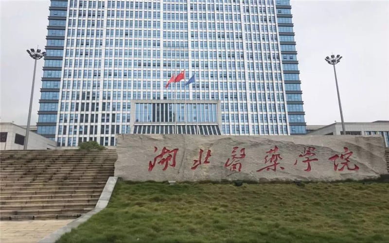 湖北医药学院主图·校门