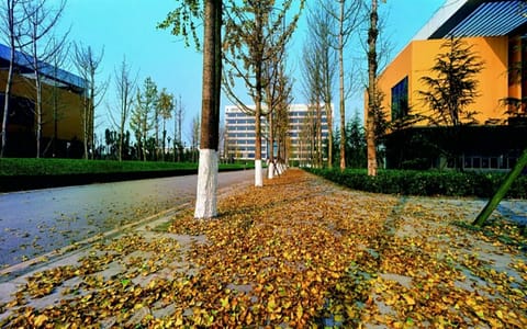 重庆科技大学·秋叶