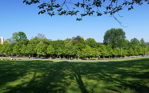 信阳师范大学（原信阳师范学院）·校园风光