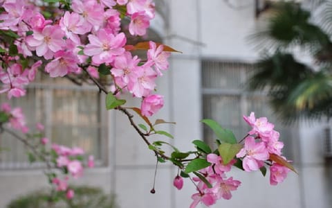皖西学院·校园风光1