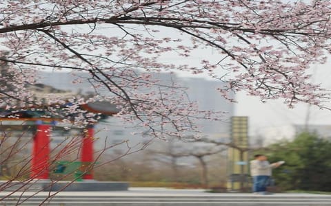 西安工业大学·校园风景