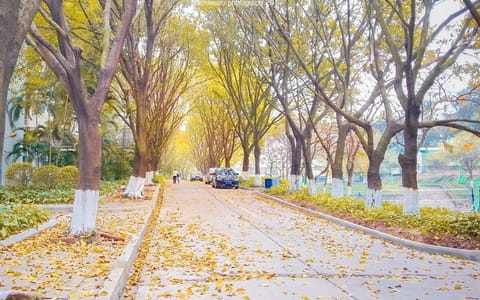 广东财经大学·广州校区校道